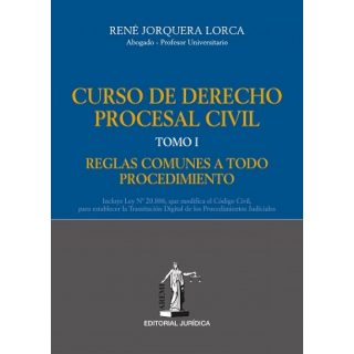 Curso de Derecho Procesal Civil. Tomo I