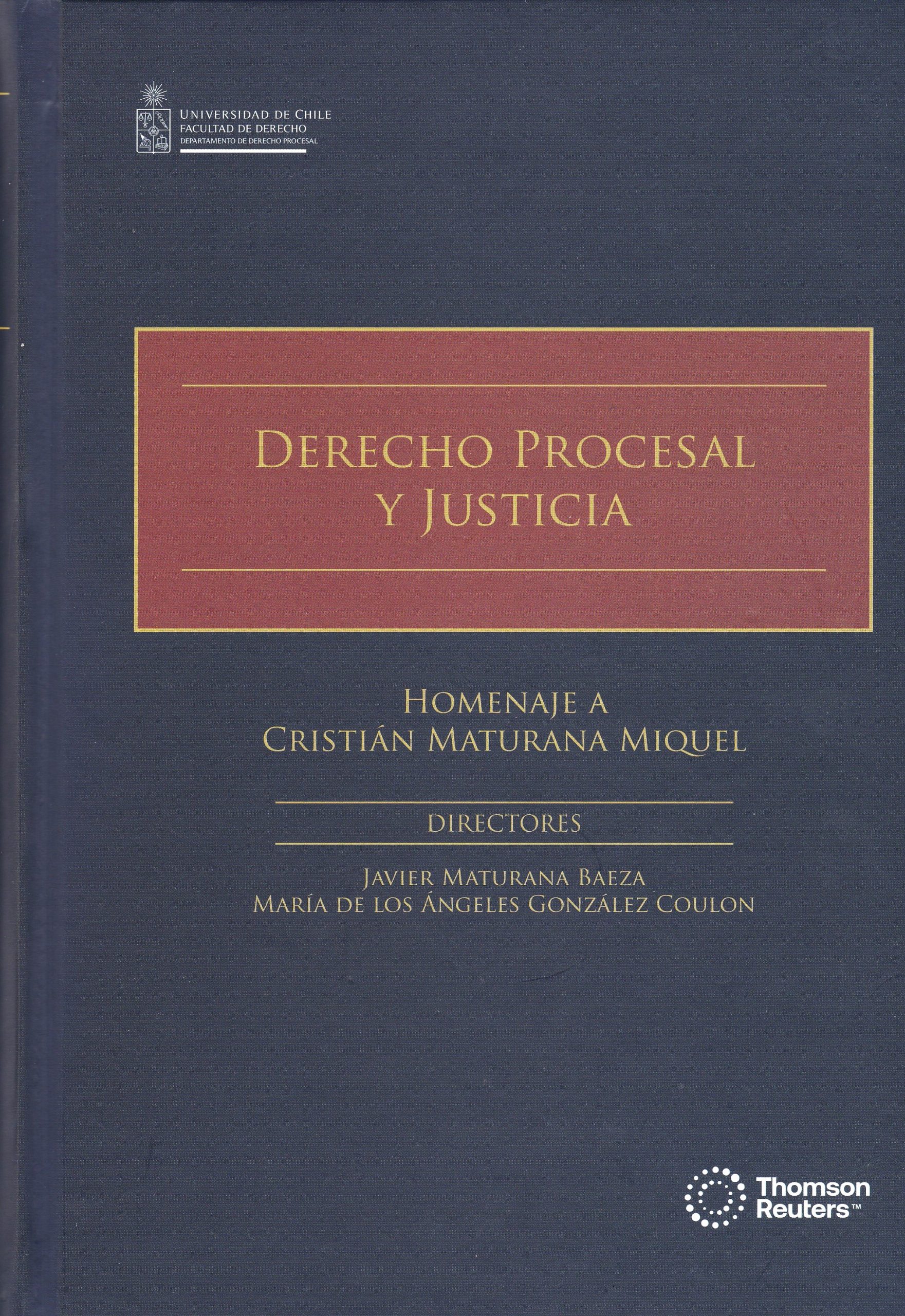 Derecho Procesal y Justicia, Homenaje a Cristian Maturana Miquel