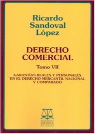 Derecho Comercial. Tomo VII