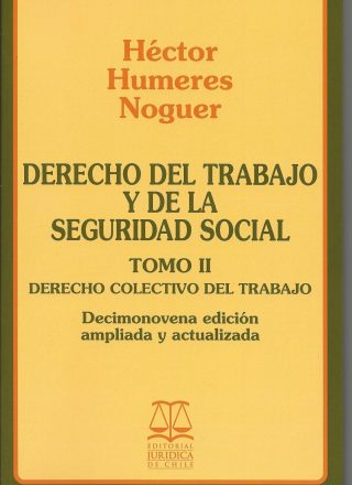 Derecho del Trabajo y de la Seguridad Social. Tomo II, 19ª edición