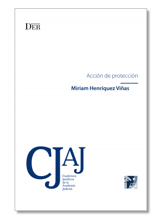Acción de Protección