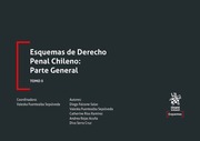 Esquemas de Derecho Penal Chileno: Parte General Tomo II