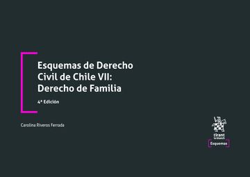 Esquemas de Derecho Civil de Chile VII: Derecho de Familia, 4ª Edición